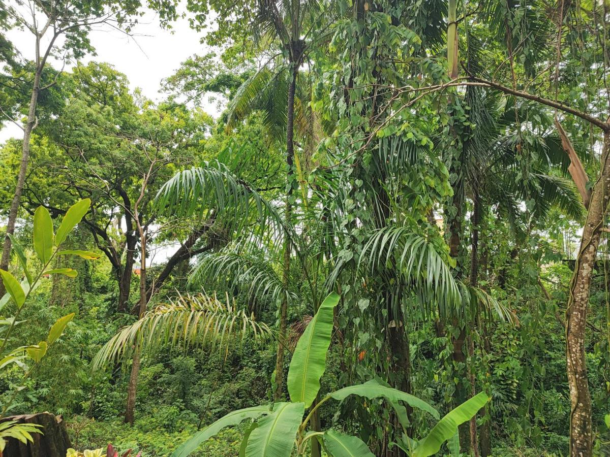 Casa Hadassa La Canada Palenque Exteriör bild